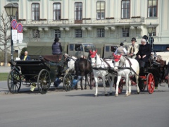 Fiaker in Wien